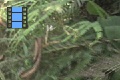 Scene 100(34)_HSSFlight
